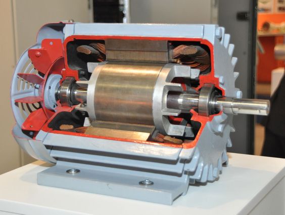 Cutaway of an industrial electric motor showing rotor, stator windings, bearings and shaft